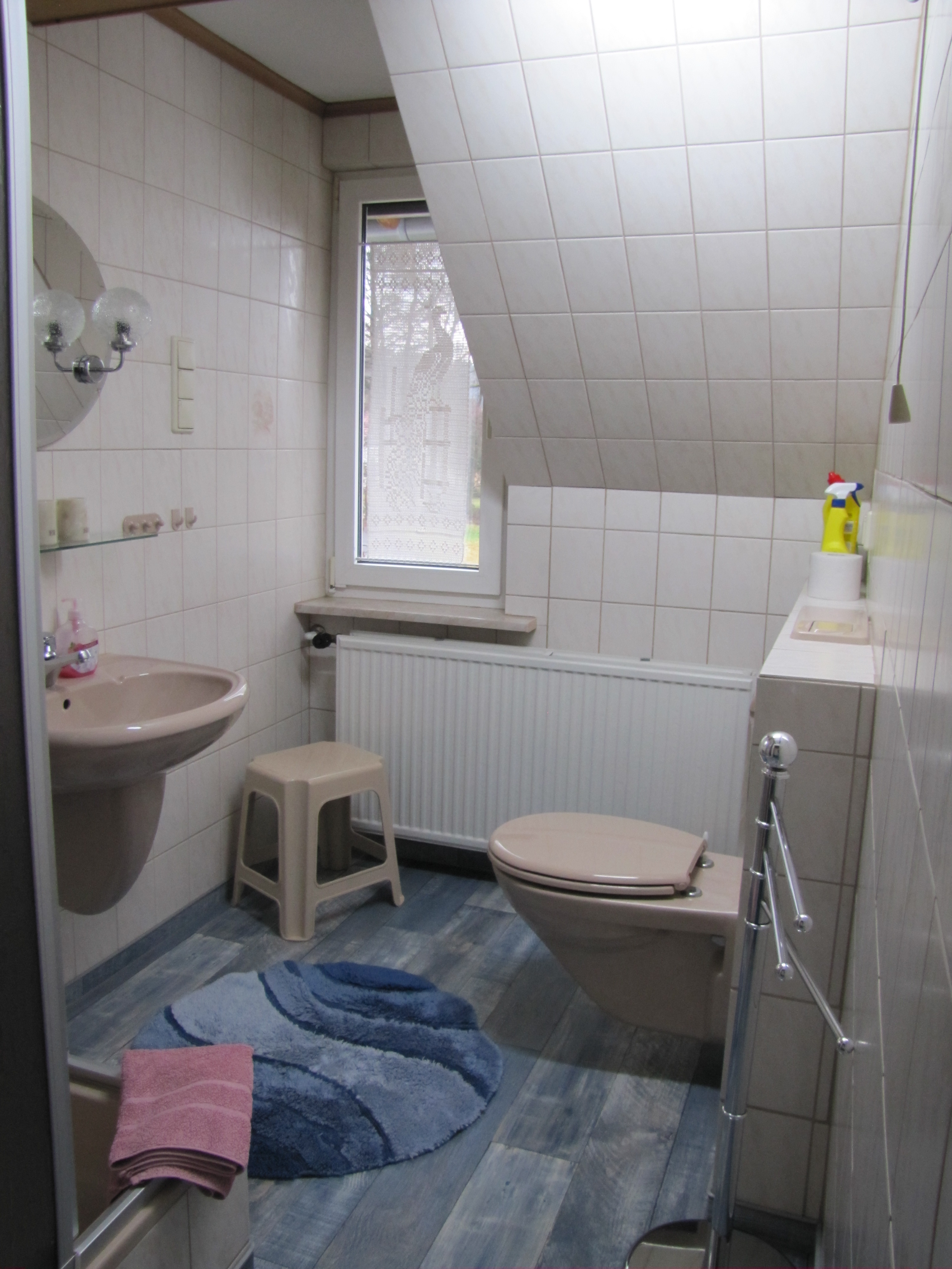 Badezimmer mit Dusche, Waschbecken und WC